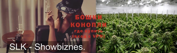 дживик Бронницы