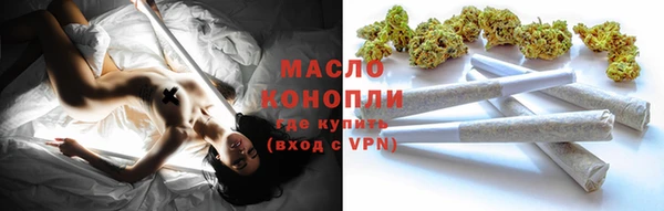 дживик Бронницы