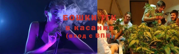 дживик Бронницы