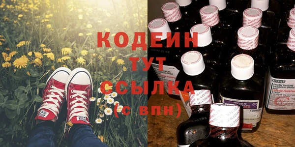 дживик Бронницы