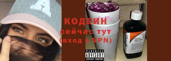 дживик Бронницы