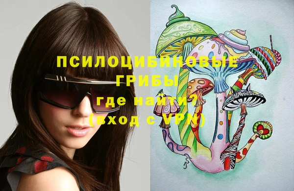 дживик Бронницы