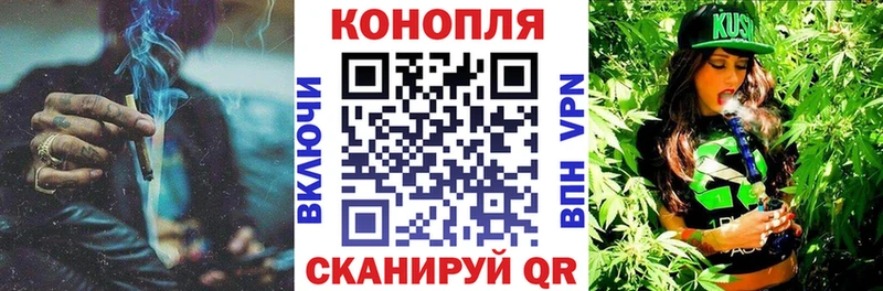 Конопля планчик Чердынь